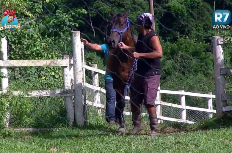 (Foto: Divulgação)