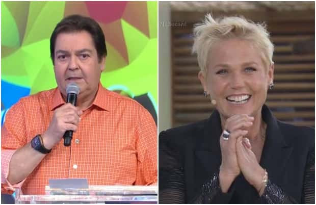 (Foto: Divulgação)