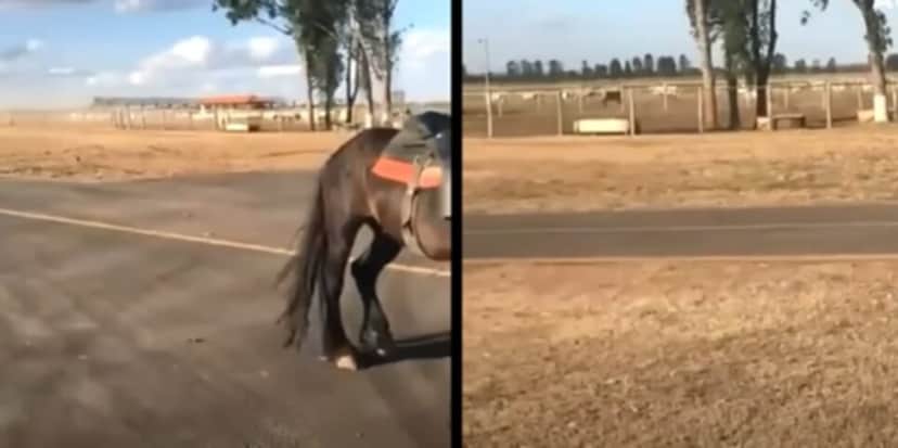 Confira imagens da absurda fazenda de Gusttavo Lima (Fotos: Reprodução/ YouTube/ Montagem) Confira imagens da absurda fazenda de Gusttavo Lima (Fotos: Reprodução/ YouTube/ Montagem)